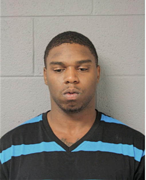 WILLIAM C GEORGE, Cook County, Illinois