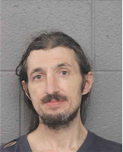 THEODORE P HANTGOS, Cook County, Illinois