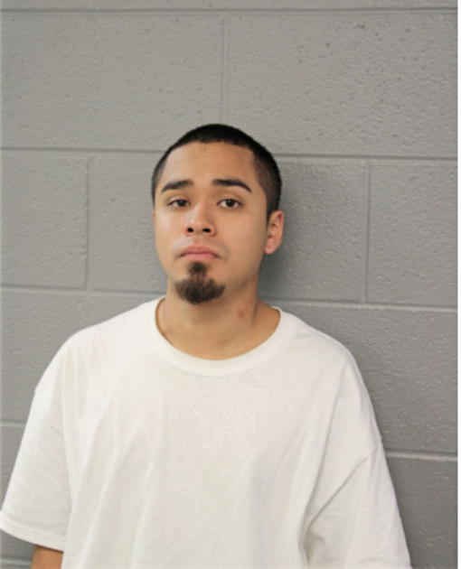 DIEGO HERNANDEZ, Cook County, Illinois