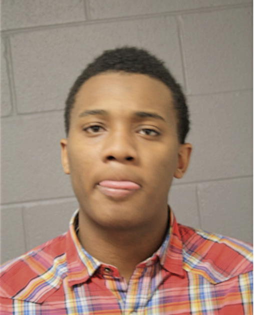 STEFAN M HOLLINS, Cook County, Illinois