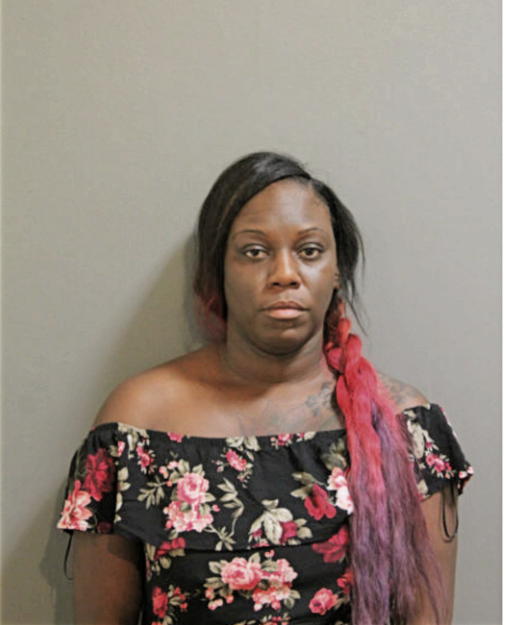 TANIA N JONES, Cook County, Illinois