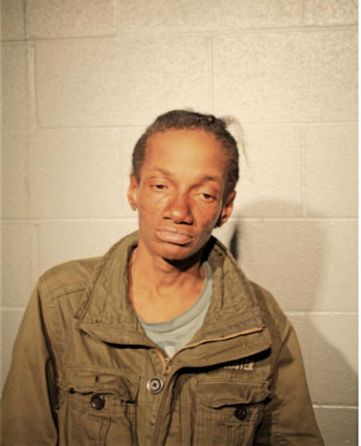 LORRI A KANE, Cook County, Illinois