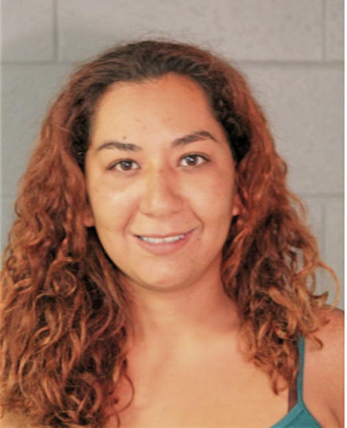 HANADI G MAHMOUD, Cook County, Illinois
