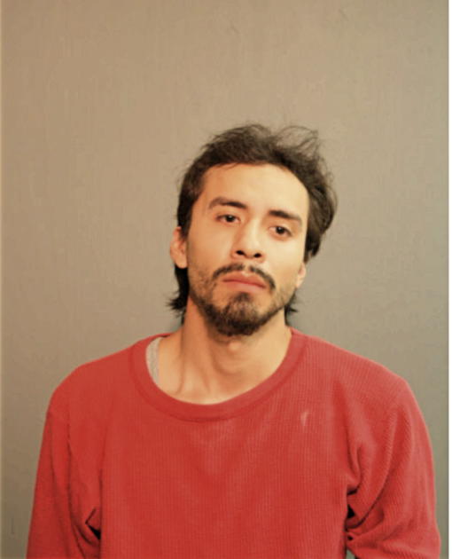 CESAR F MARTINEZ, Cook County, Illinois