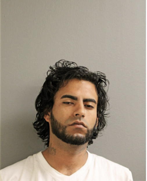 LUIS A MIRANDA, Cook County, Illinois