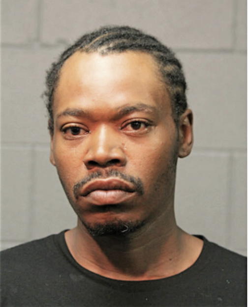 ERIC T NELLEM, Cook County, Illinois