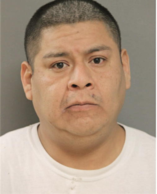 AGUSTIN A NUNEZ, Cook County, Illinois
