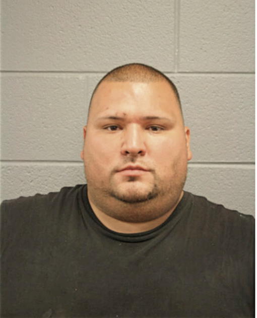HECTOR M PAGAN, Cook County, Illinois
