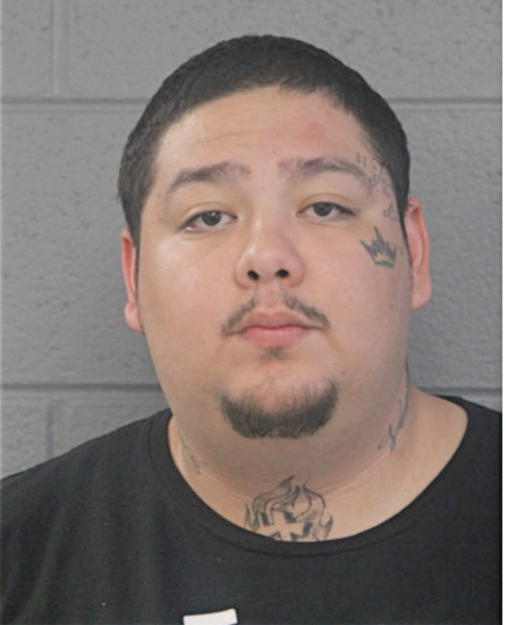 DAVID GUADALUPE SALINAS, Cook County, Illinois
