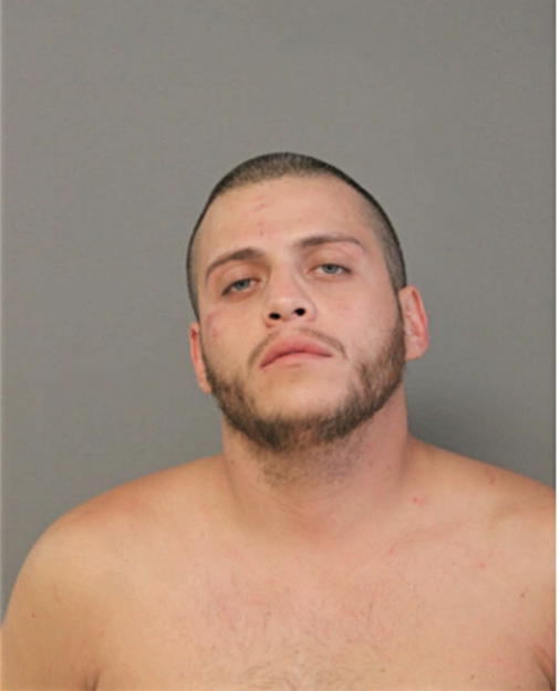 MICHAEL SANTIAGO, Cook County, Illinois