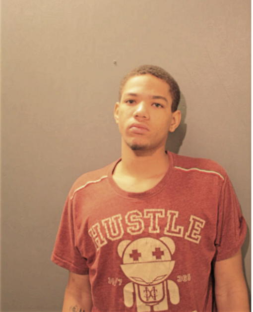 SHANNON S TIMOTHY, Cook County, Illinois