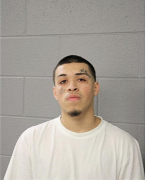 ALEXANDER TORRES, Cook County, Illinois