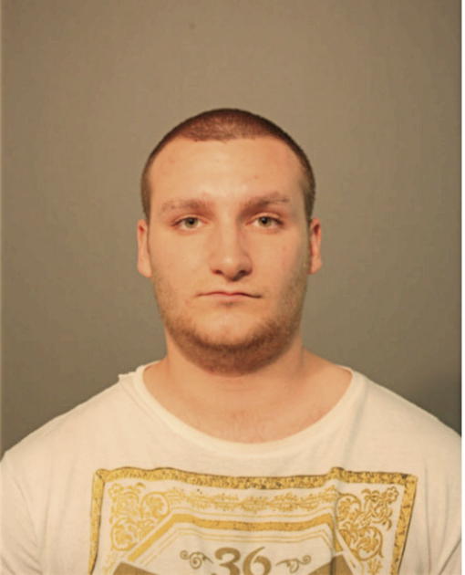 PETER C TRETHEWY, Cook County, Illinois