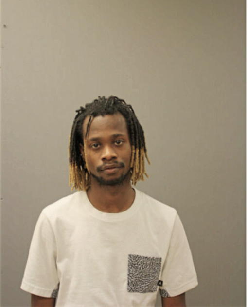 DAVID S WILLIAMS, Cook County, Illinois