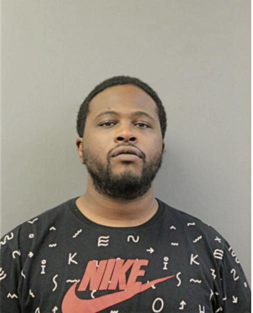DAVID S WOODS, Cook County, Illinois