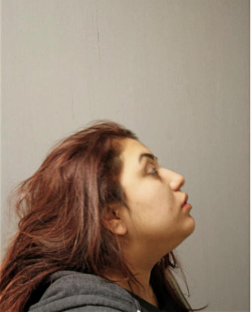 NORMA A ZARATE, Cook County, Illinois