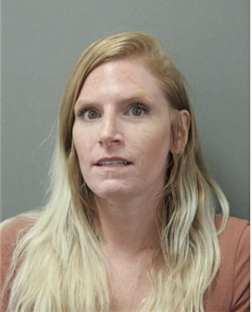 BRITTANY A ALLESHOUSE, Cook County, Illinois
