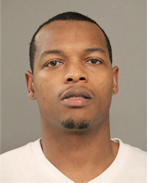 FELIX L ANDERSON, Cook County, Illinois