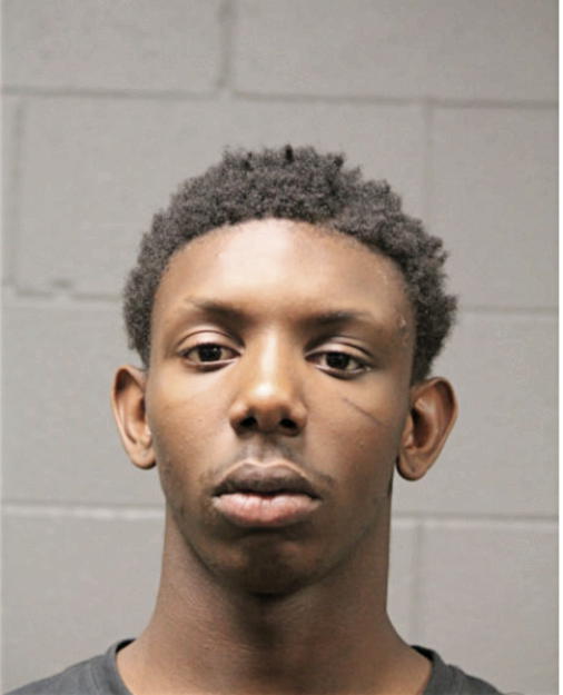 VERNON L BEASLEY, Cook County, Illinois