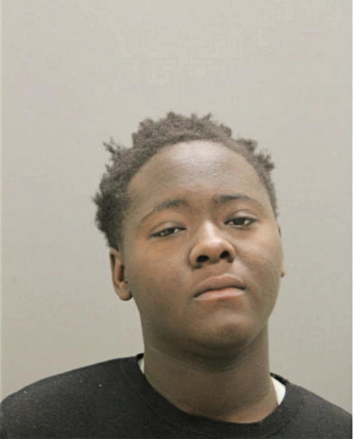 GABRIELLE A BROWN, Cook County, Illinois