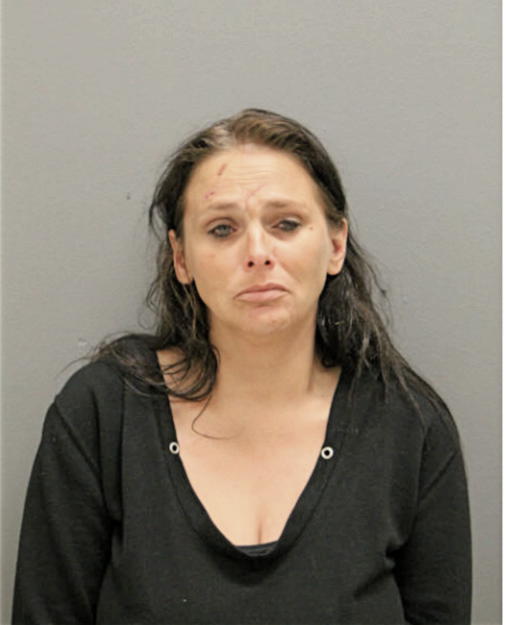 MICHELLE J BROWN, Cook County, Illinois