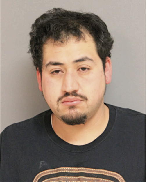 FERNANDO DIAZ, Cook County, Illinois