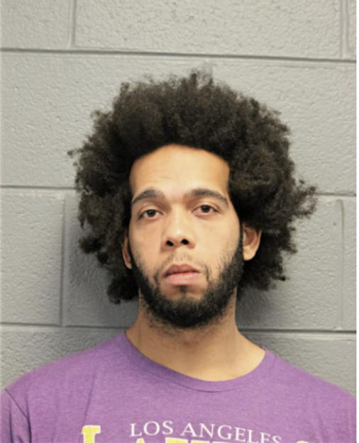 NICHOLAS R FIELDS, Cook County, Illinois