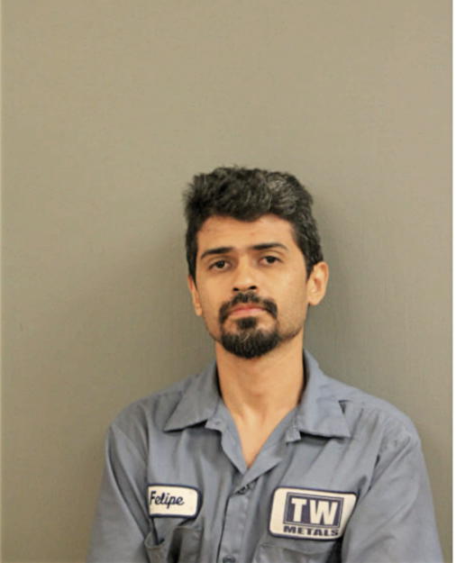 FELIPE A GUZMAN, Cook County, Illinois