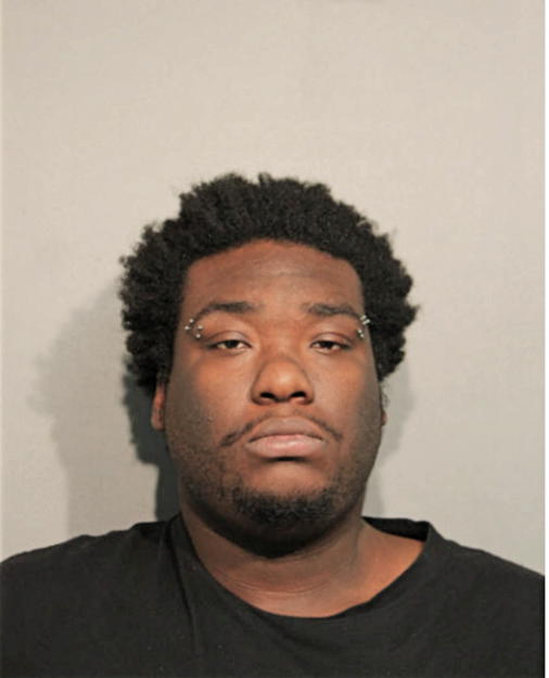 HERBERT J JACKSON, Cook County, Illinois