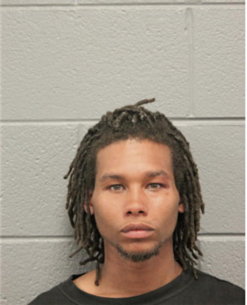 ROBERT L JACKSON, Cook County, Illinois