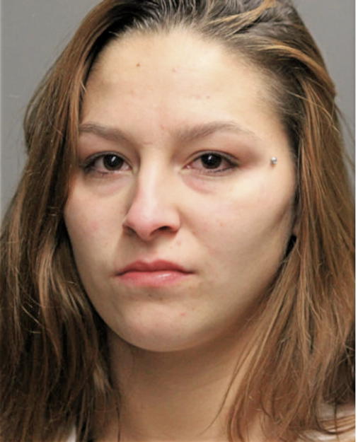 MICHELE M LACEY, Cook County, Illinois