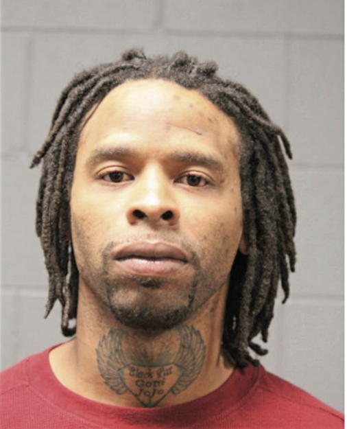 RONALD S MCCANN, Cook County, Illinois