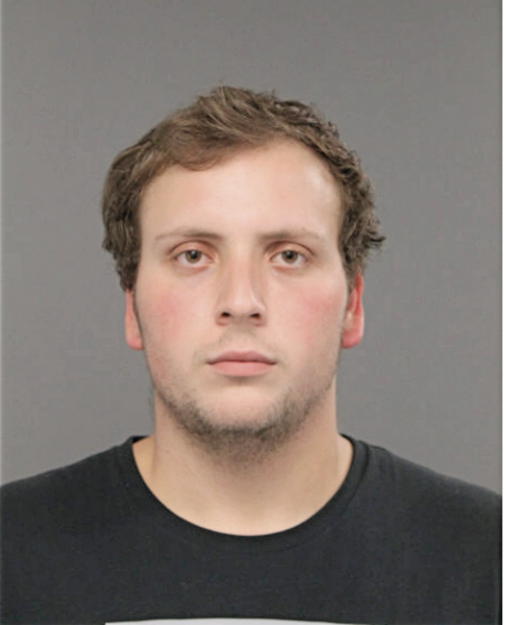 MICHAEL A MCGRATH, Cook County, Illinois