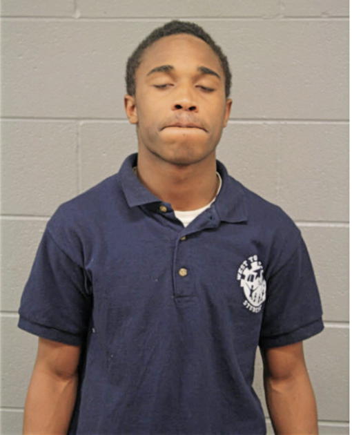 RASHAWN T MITCHELL, Cook County, Illinois