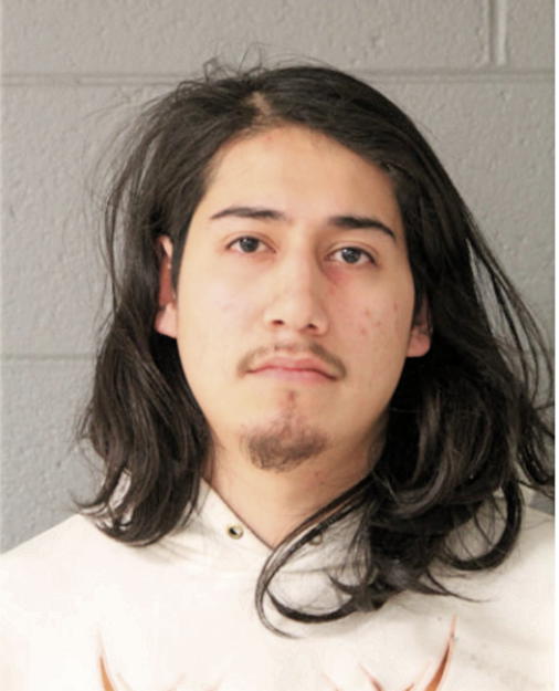 ALEXANDER PEDRO, Cook County, Illinois