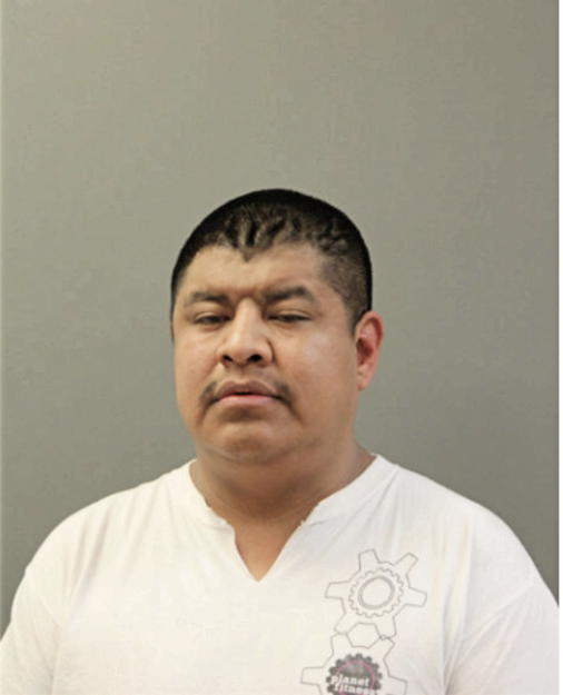 NICOLAS QUIAHUA, Cook County, Illinois