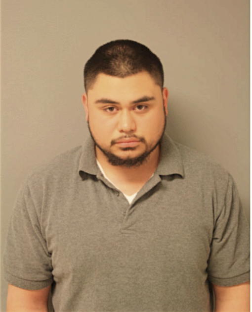 JULIEN SILVA, Cook County, Illinois