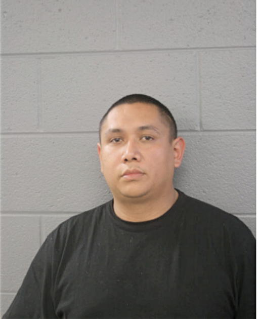 NOEL SILVA, Cook County, Illinois