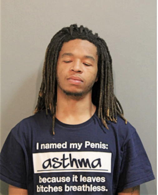 DANIELLE M WALLS, Cook County, Illinois