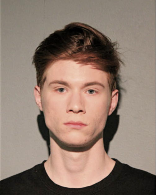 DYLAN J WARD, Cook County, Illinois