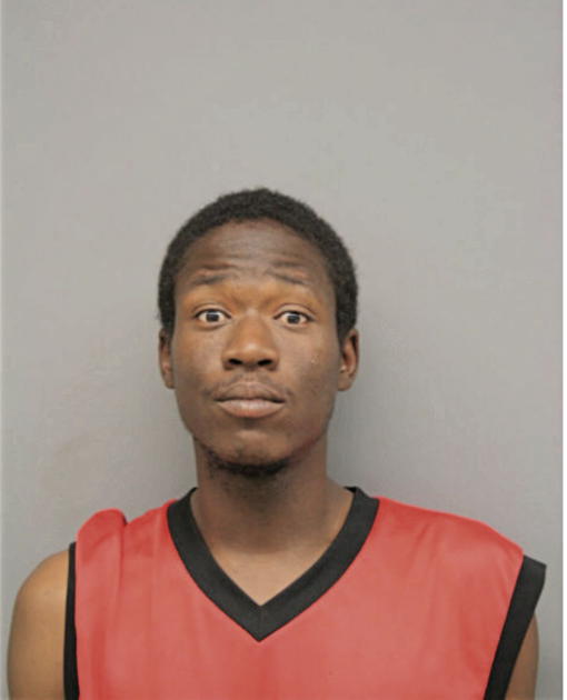 LARRY C WHITE, Cook County, Illinois