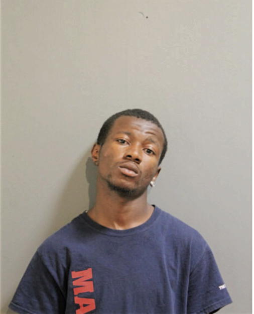 ANSEL F WILLIAMS, Cook County, Illinois