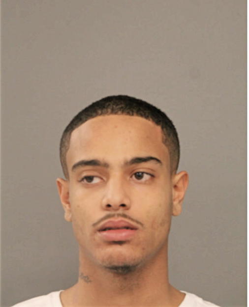 MICHAEL K WILLIAMS, Cook County, Illinois