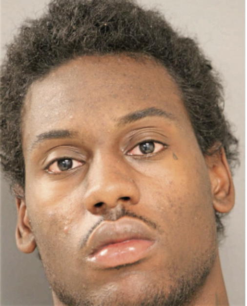 TIMOTHY J WILLIAMS, Cook County, Illinois