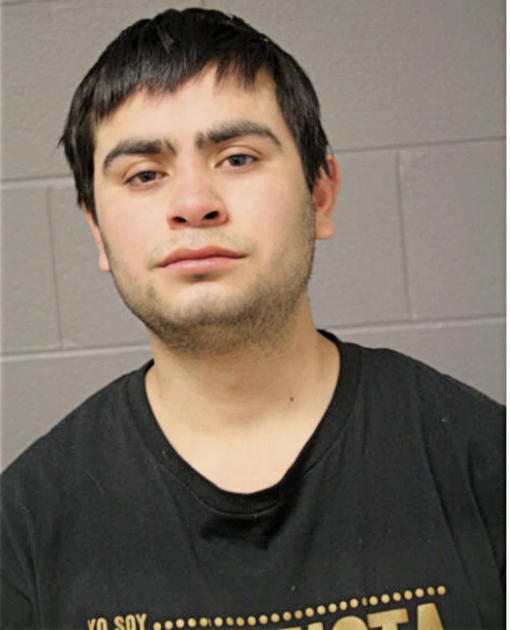 CESAR ALONSO, Cook County, Illinois