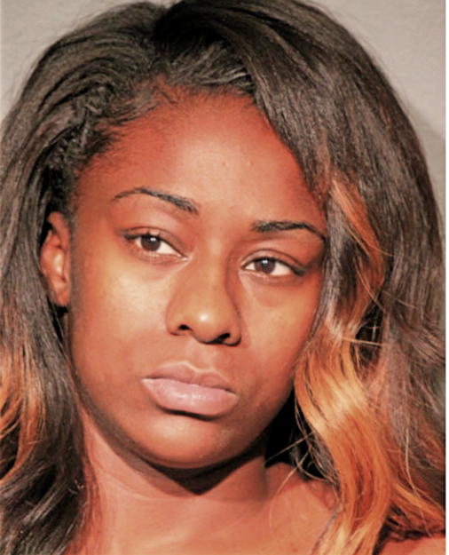 FELICIA N BLUNT, Cook County, Illinois