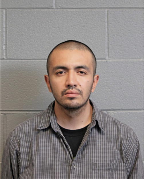 ERICK ESPINOZA, Cook County, Illinois
