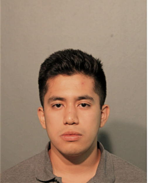 YAIR D GOMEZ, Cook County, Illinois