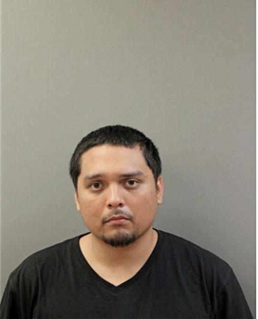 VINCENT M GONZALES, Cook County, Illinois