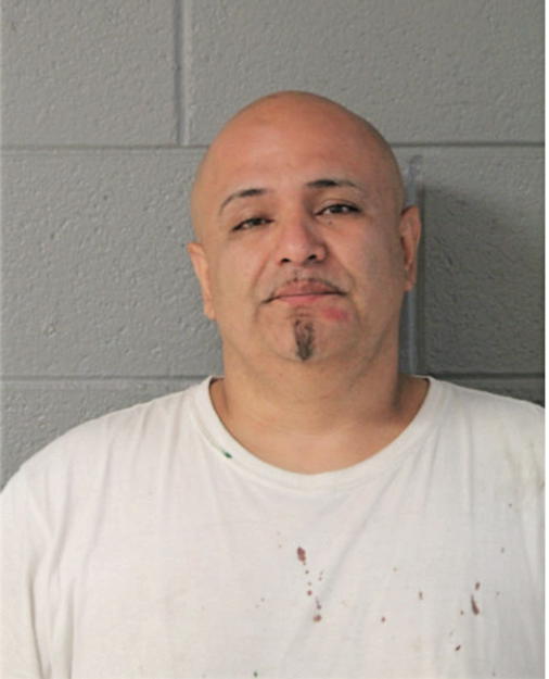 ANGEL P GONZALEZ, Cook County, Illinois